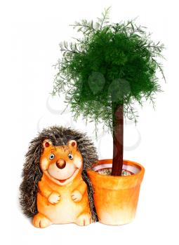 hedgehog a flowerpot and green tree isolated on white background