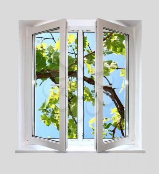 open white plastic window with a kind on grape-vine