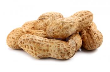 peanut isolated on white background