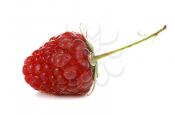ripe red raspberry isolated on white background