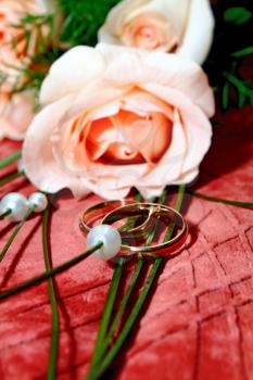 two wedding rings and rose