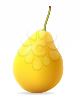 pear vector illustration isolated on white background
