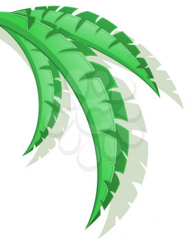 palm branch vector illustration isolated on white background