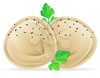 dumplings pelmeni of dough with a filling and greens vector illustration isolated on white background