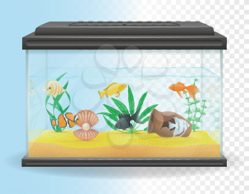 transparent aquarium vector illustration isolated on white background