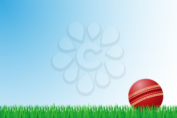 cricket grass field vector illustration isolated on background