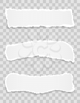 torn paper edge for design with transparent space template and place for text vector illustration