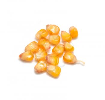yellow corn grain on white background 