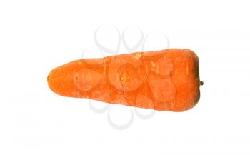 Fresh Carrot Isolated on a White Background 