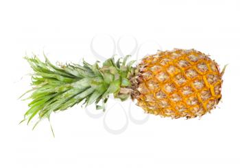 ripe pineapple isolated on white 