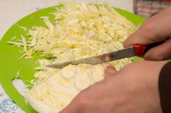 cutting cabbage 