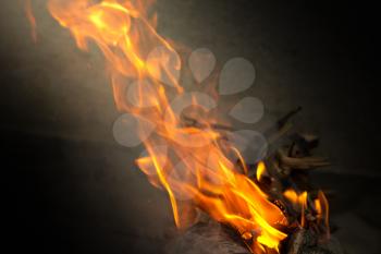 Fire, burning branches of a tree on a barbecue