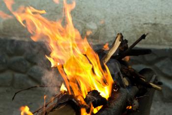 Fire, burning branches of a tree on a barbecue