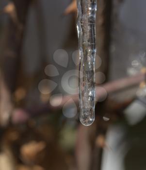 a drop of ice in nature. macro