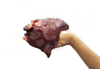fresh liver in hand background