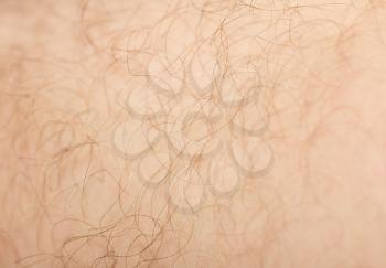 background of the hair on his leg. macro
