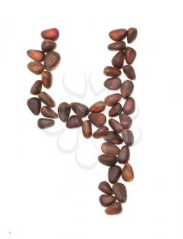 number four of the pine nuts on a white background
