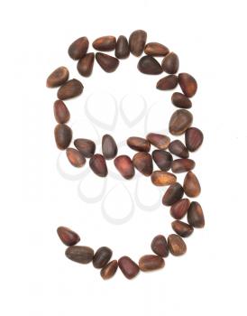 number nine of the pine nuts on a white background