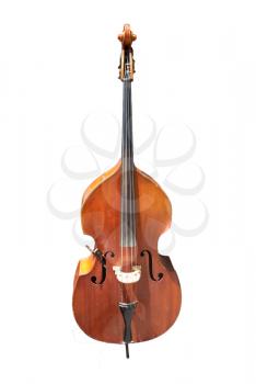 cello on a white background
