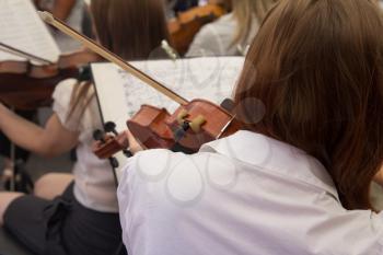 musician plays the violin in the orchestra