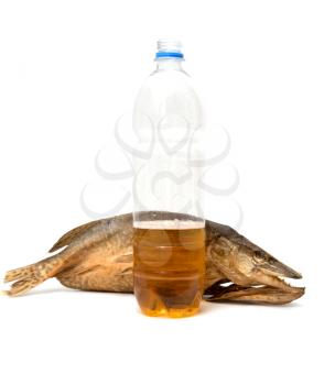 smoked fish with a beer on a white background