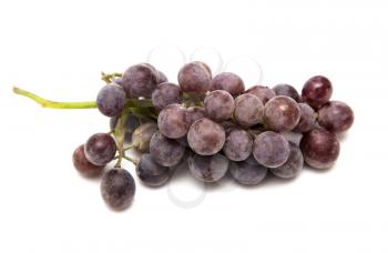 black grapes on a white background