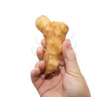 ginger root in hand