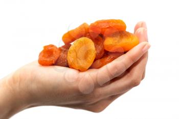 dried apricots in a hand on a white background