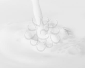 beautiful background of white milk