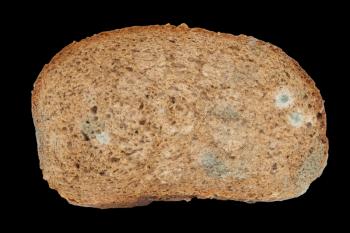 mold on bread on a black background