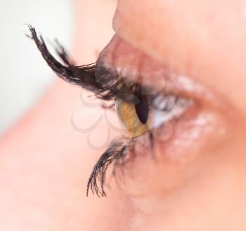 female eye. close-up