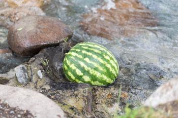 watermelon in the river