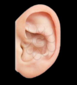 human ear on a black background