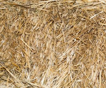 background of dry hay