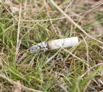 Cigarette on the grass