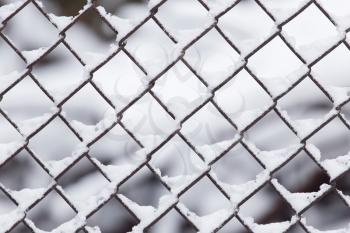 Close-up of barbwire covered by snow