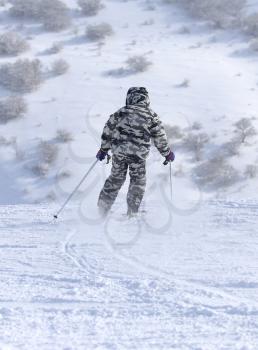 people skiing in the snow in the winter