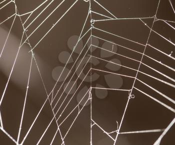 Spider web with colorful background
