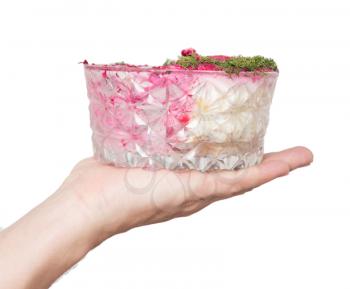 dish in a hand on a white background