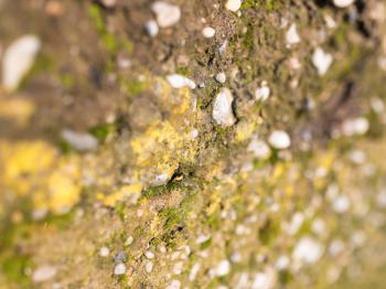 the stones in the wall covered with moss