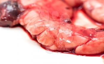 gut fish blood over a white background