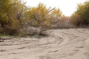 dusty road in the wilderness