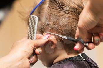 women's haircuts in the beauty salon