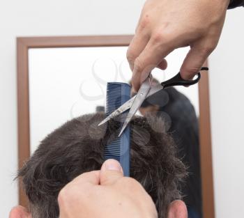 hairdresser cuts men's hair cut