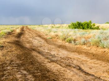 dirt road after rain