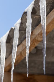 Icicles from the roof of the house