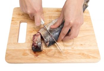 preparation of herring on a board on a white background