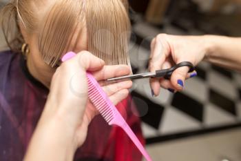Female haircut with scissors in the beauty salon