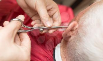 Men's haircut with scissors in the beauty salon