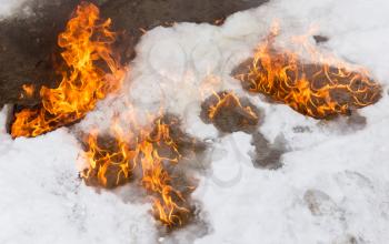 fiery flame on the white snow in winter .